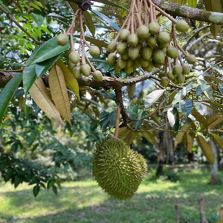 Kebun Puisi Villa Kajang Buitenkant foto