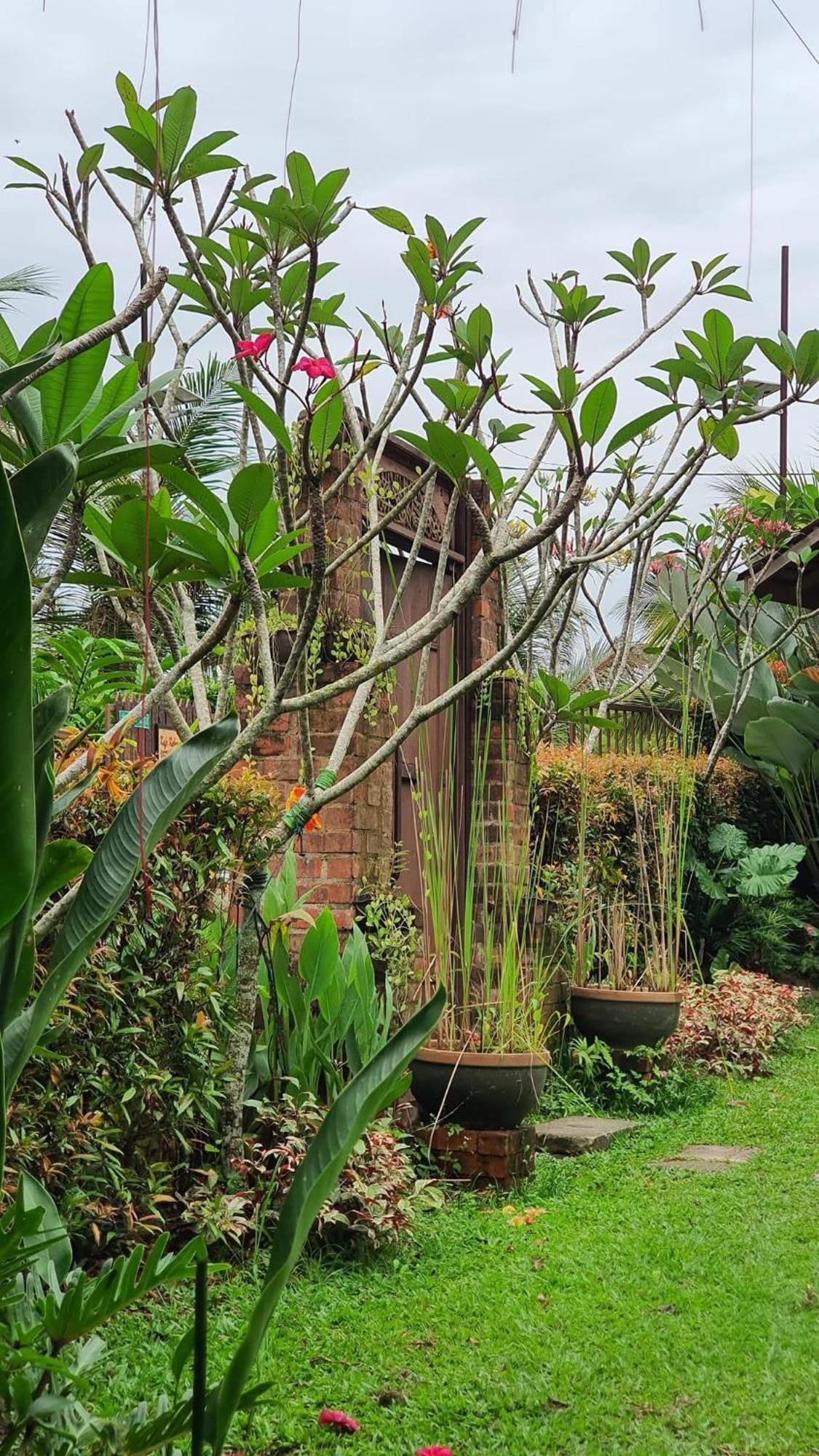 Kebun Puisi Villa Kajang Buitenkant foto